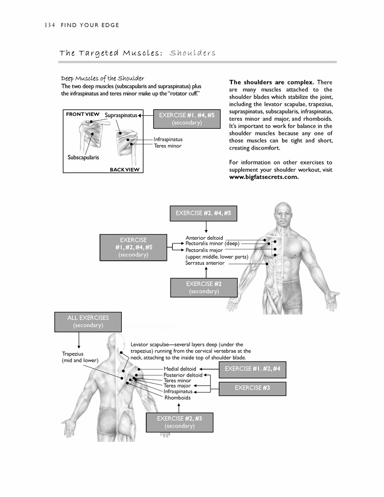 M.  Shoulders Intro 5