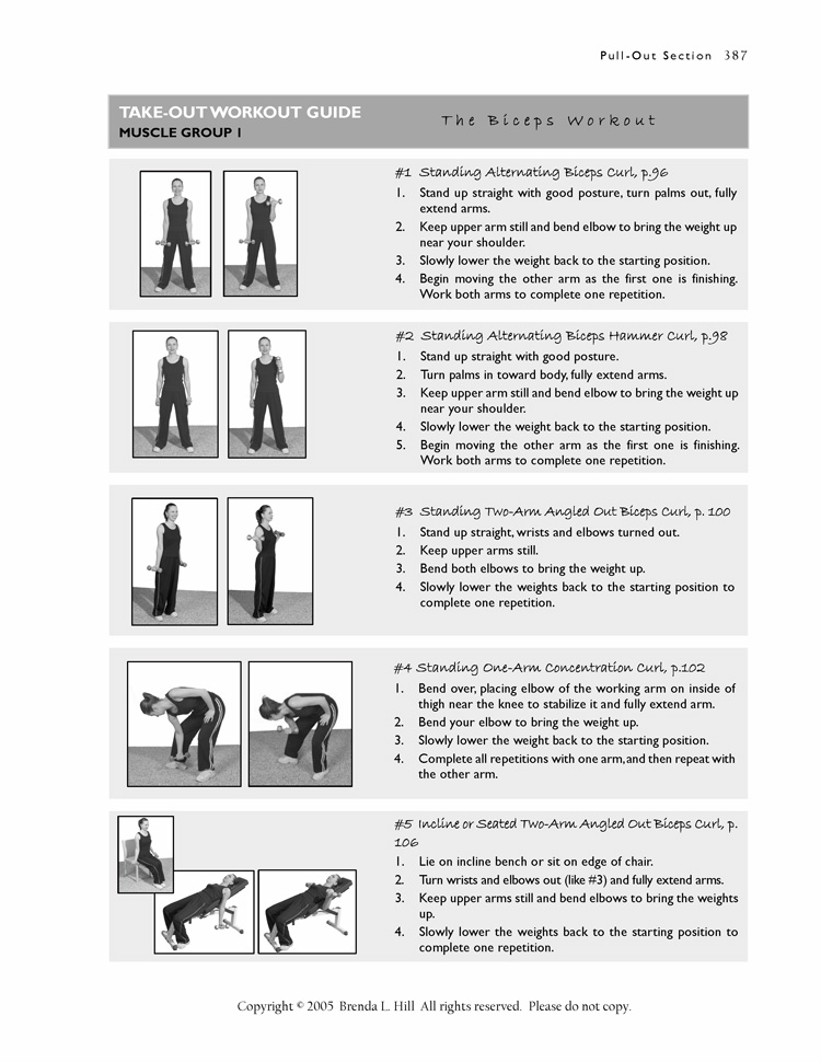 V.  Take Out Workout Guide Biceps (brief instructions)